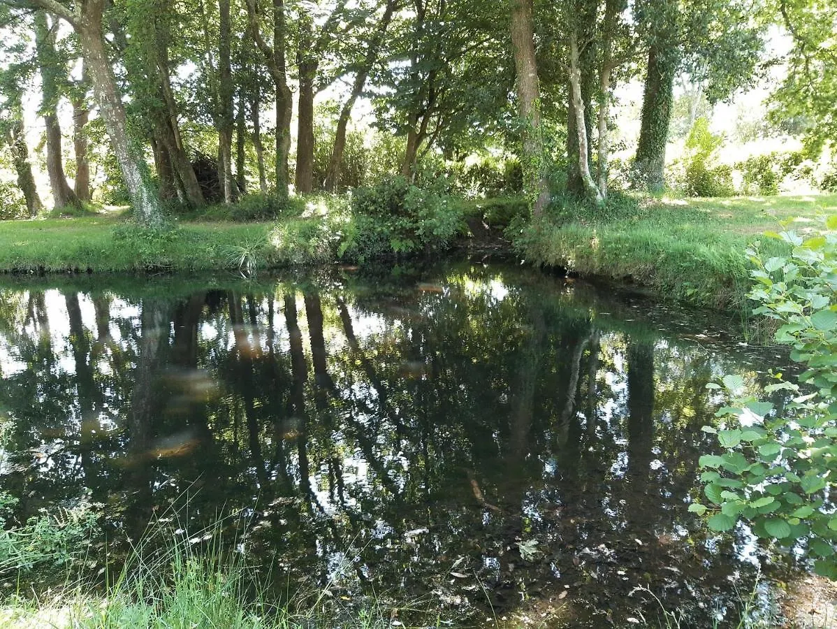 Agape, Elegant T2, 4 Etoiles, Plage Et Gr34 3Km, Centre Ville 750M Fouesnant